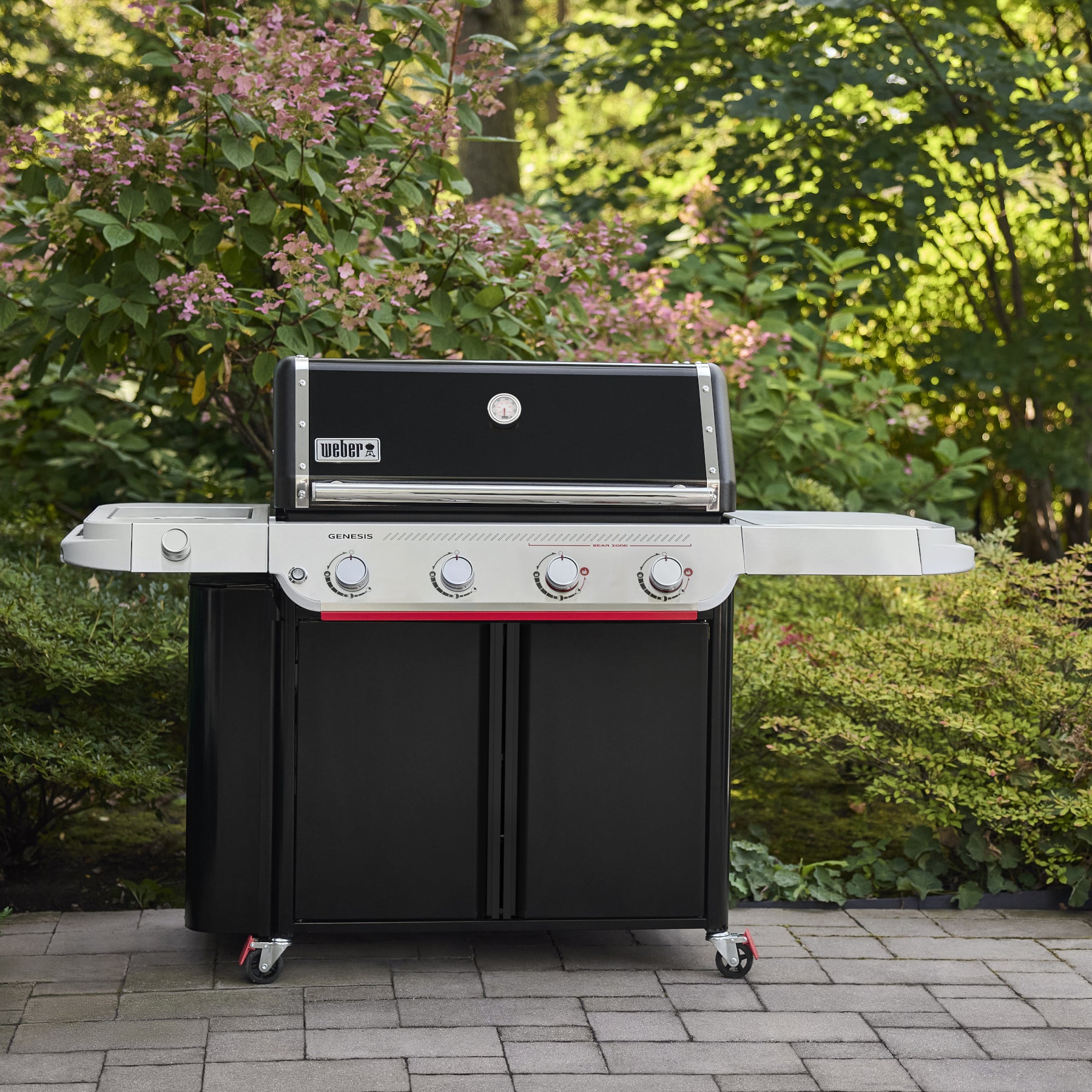 Weber Genesis EP-435 Black ULPG