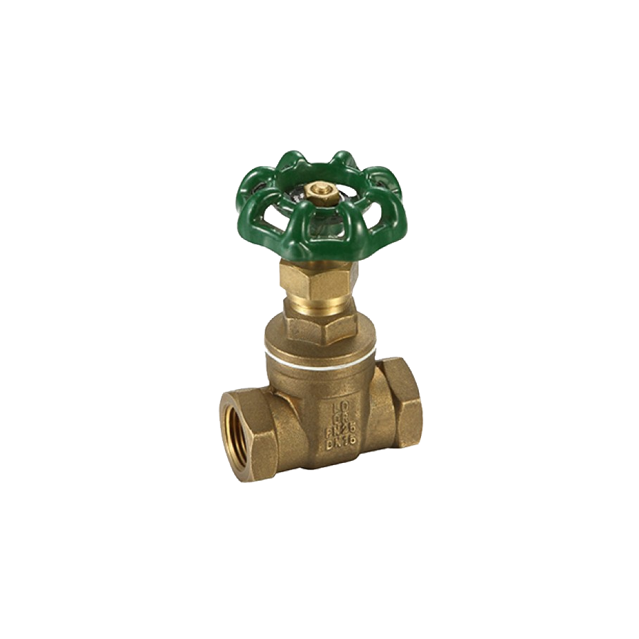 Promax Gate Valve 80mm