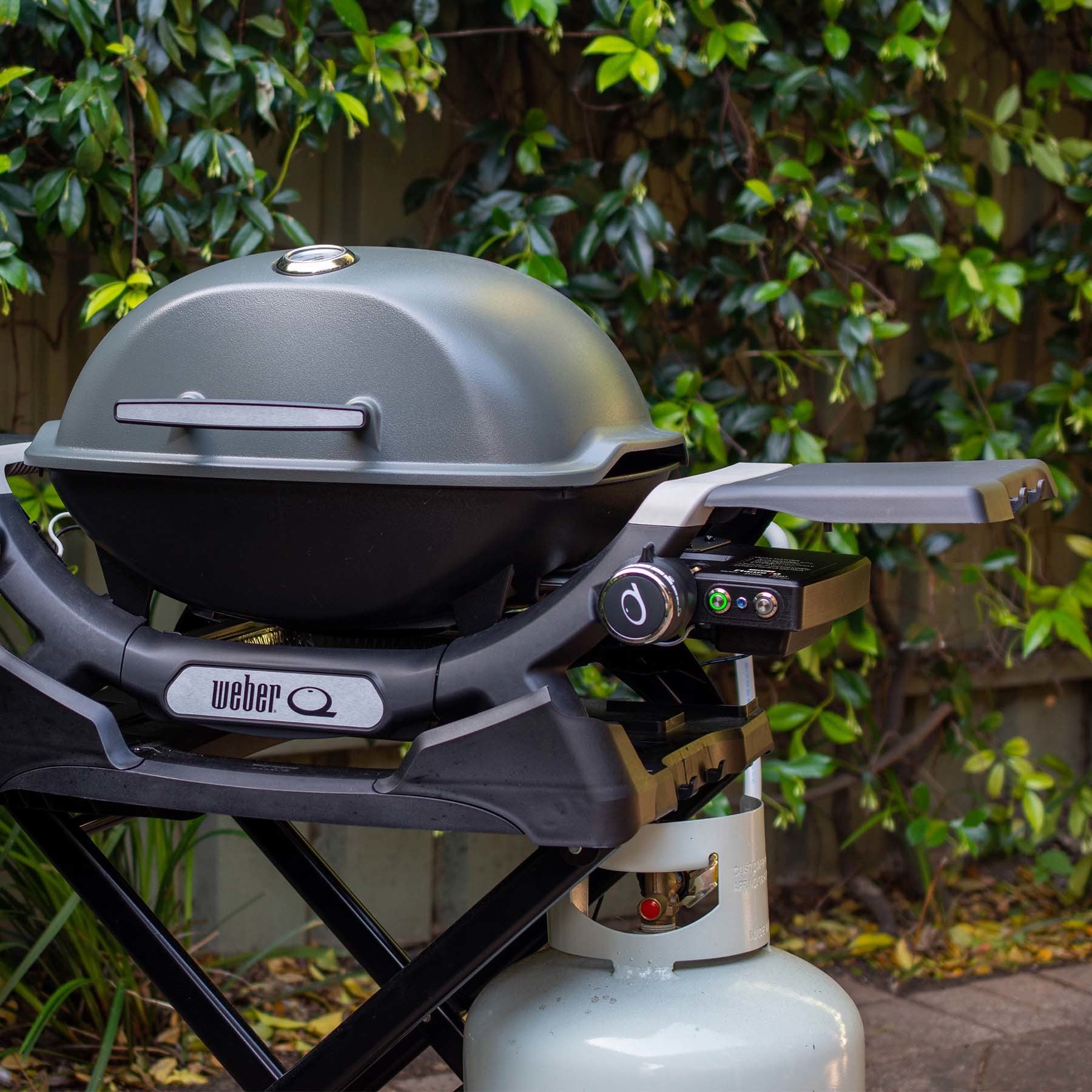 Weber Flame iQ (Q1X00N)