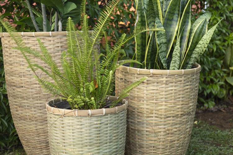 Excalibur Elimina Tall Pot Set Turfrey.co.nz