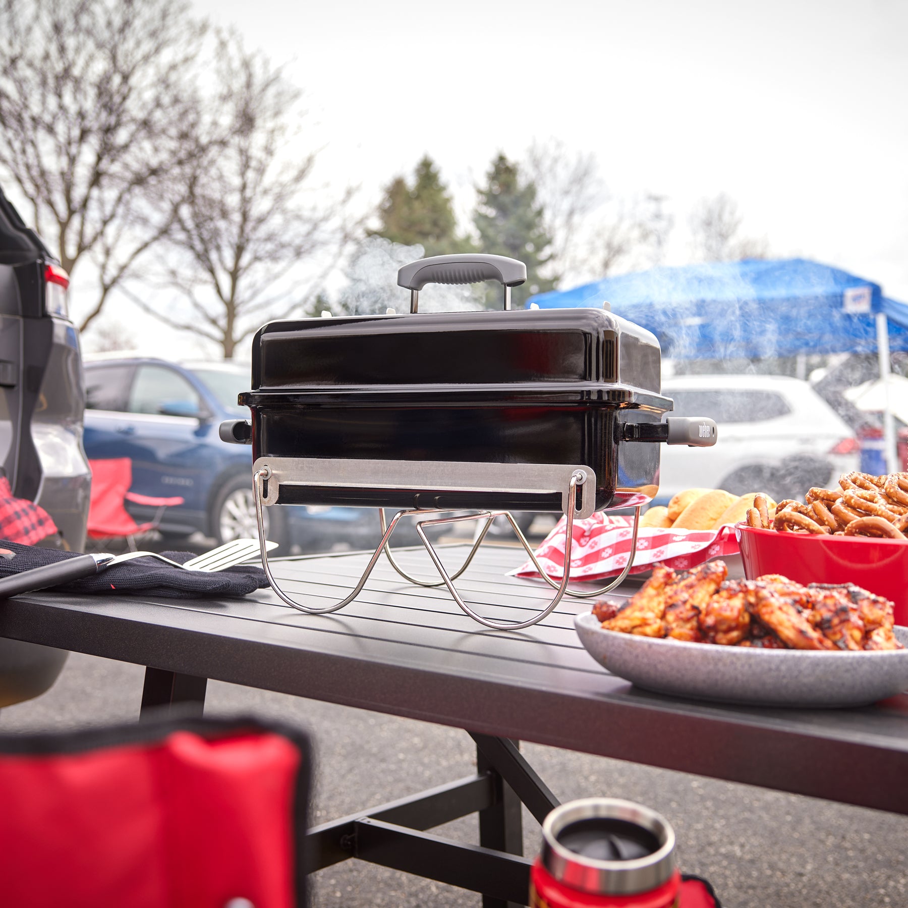 Weber Go-Anywhere Charcoal BBQ | Turfrey BBQs Online NZ – Turfrey