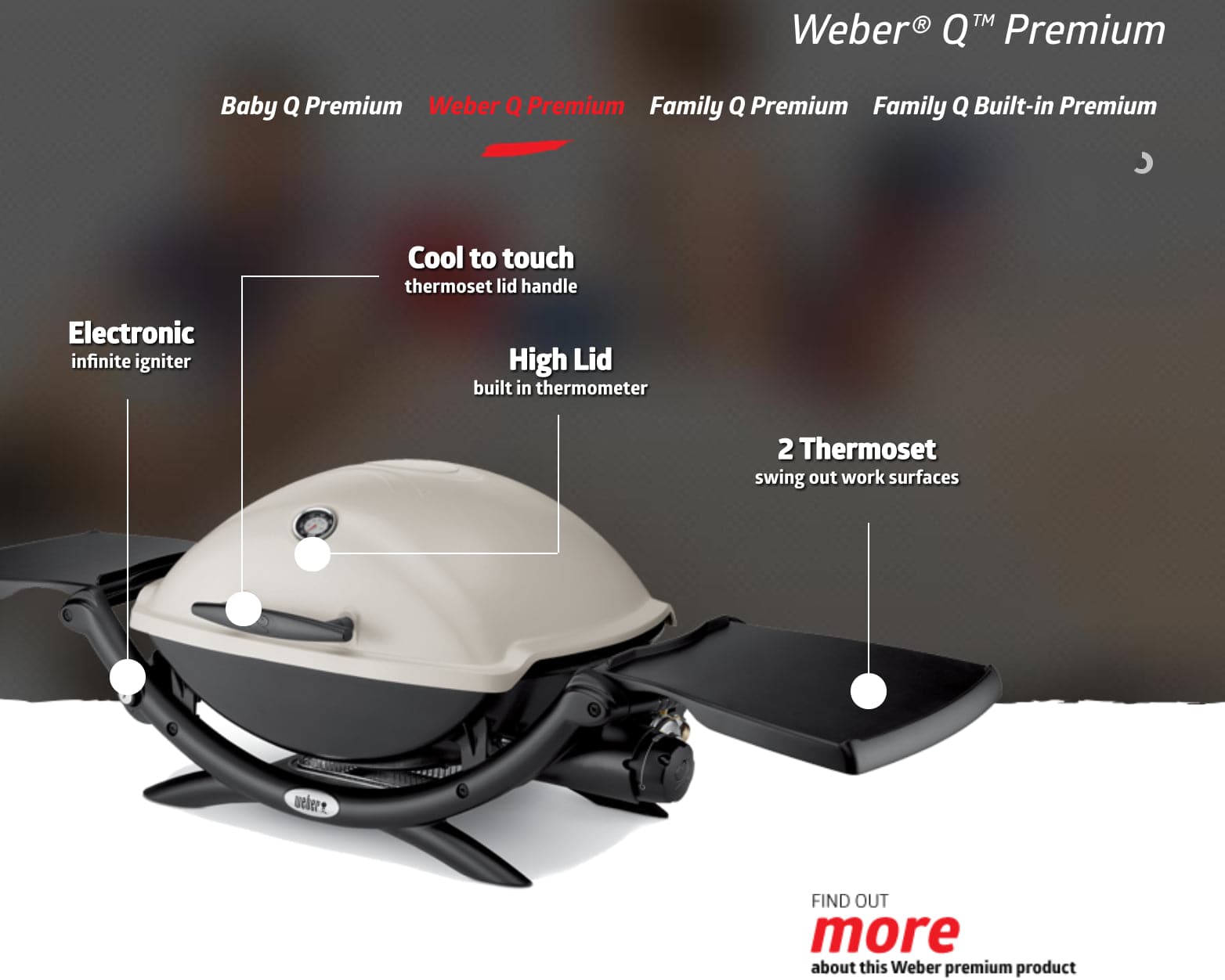 Weber Q2200 Titanium Gas Barbecue 54060034